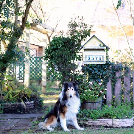 Lassy Condominium Kumamoto Eksteriør bilde