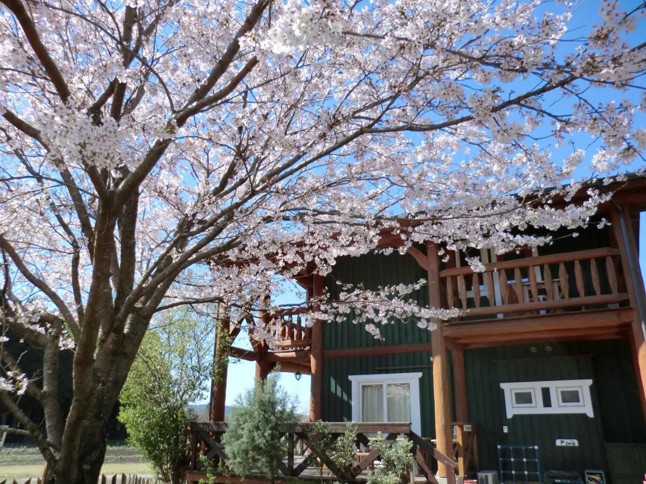 Lassy Condominium Kumamoto Eksteriør bilde